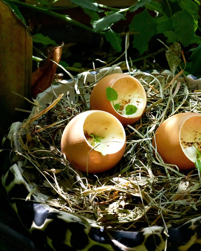 Assiette de saison de MUSE, présentée dans un nid de foin