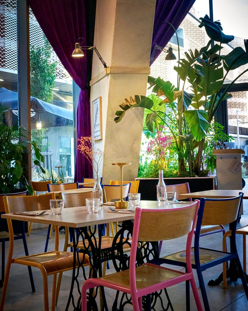 Plantes, bananier et mobilier coloré dans la salle de MUSE